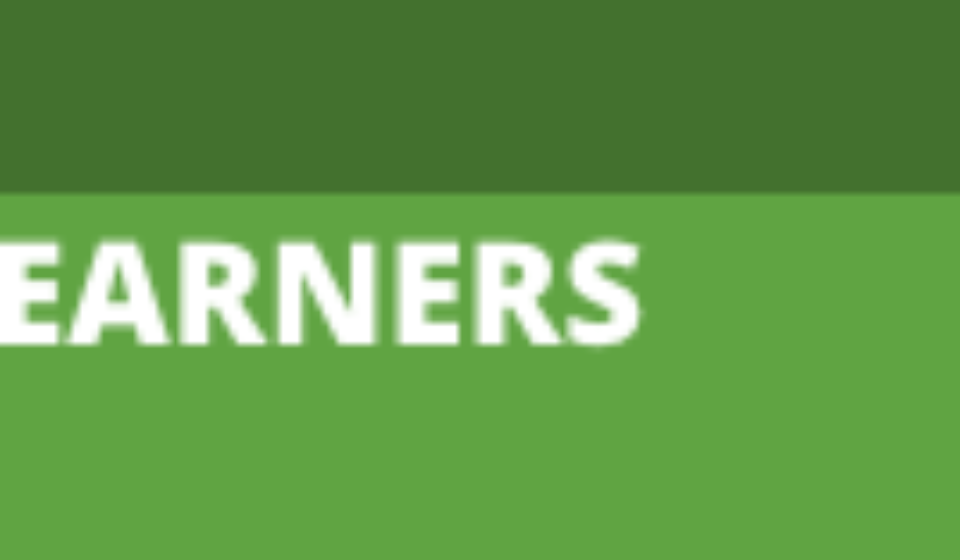 Young Learners Webinars