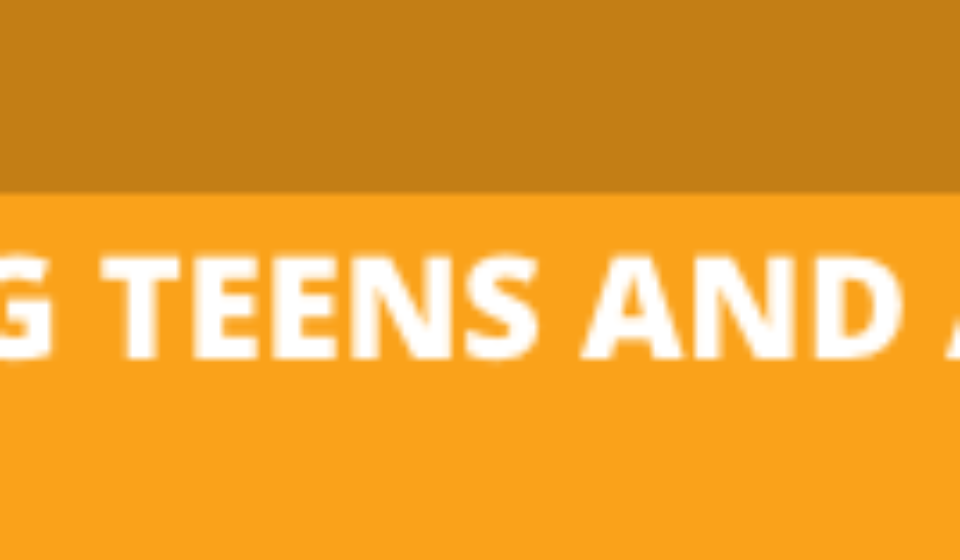 upcoming teaching teens and adults webinar